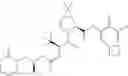 Fig. 894 - Method for modulating activity of HCV protease through use of a novel HCV protease inhibitor to reduce duration of treatment period