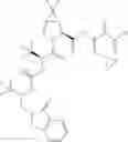 Fig. 987 - Method for modulating activity of HCV protease through use of a novel HCV protease inhibitor to reduce duration of treatment period