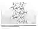 Fig. 22 - Crystalline (2E,4S)-4-[(N-{[(2R)-1-isopropylpiperidin-2-yI]-carbonyl}-3-methyl-L-valyl)(methyl)amino]-2,5-dimethylhex-2-enoic acid and its pharmaceutical uses
