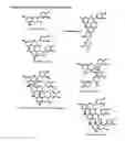 Fig. 05 - Renal function improvement