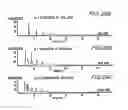 Fig. 110 - Renal function improvement