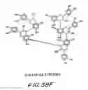 Fig. 145 - Renal function improvement