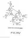 Fig. 147 - Renal function improvement