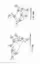 Fig. 149 - Renal function improvement