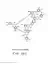 Fig. 151 - Renal function improvement
