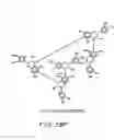 Fig. 152 - Renal function improvement