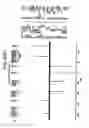 Fig. 191 - Renal function improvement