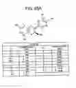 Fig. 196 - Renal function improvement