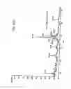 Fig. 233 - Renal function improvement