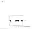 Fig. 08 - Decoy-oligonucleotide-inhibition of cd40-expression