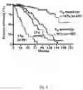 Fig. 02 - Methods and kits for diagnosing and treating b-cell chronic lymphocytic leukemia
