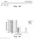 Fig. 09 - Antisense antiviral compounds and methods for treating a filovirus infection