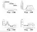 Fig. 16 - Antisense antiviral compounds and methods for treating a filovirus infection