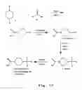 Fig. 18 - Antisense antiviral compounds and methods for treating a filovirus infection