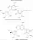 Fig. 08 - A adenosine receptor agonists