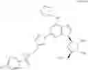 Fig. 16 - A adenosine receptor agonists