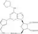 Fig. 20 - A adenosine receptor agonists