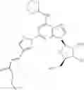 Fig. 28 - A adenosine receptor agonists