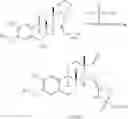 Fig. 55 - 17β-HSD1 and STS inhibitors