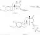 Fig. 59 - 17β-HSD1 and STS inhibitors