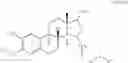 Fig. 77 - 17β-HSD1 and STS inhibitors