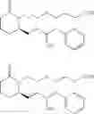 Fig. 19 - 5-thiopiperdinyl prostaglandin E analogs