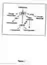 Fig. 03 - Method of treating or preventing pathologic effects of acute increases in hyperglycemia and/or acute increases of free fatty acid flux
