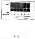 Fig. 12 - Method of treating or preventing pathologic effects of acute increases in hyperglycemia and/or acute increases of free fatty acid flux