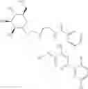 Fig. 203 - Carboxamide inhibitors of TGFbeta