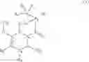 Fig. 32 - Isotope labeled camptothecin derivatives