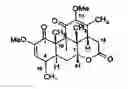 Fig. 01 - Process to extract quassinoids