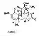 Fig. 02 - Process to extract quassinoids