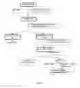 Fig. 06 - Process to extract quassinoids