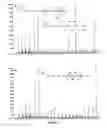 Fig. 02 - Conjugated linolenic acids and methods for commerical preparation and purification