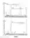 Fig. 02 - Conjugated linolenic acids and methods of preparation and purification and uses thereof
