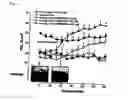 Fig. 02 - Method for treating mucosal disorders