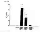 Fig. 04 - Method for treating mucosal disorders