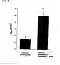 Fig. 06 - Method for treating mucosal disorders