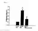 Fig. 08 - Method for treating mucosal disorders