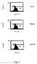 Fig. 03 - Lfa-1 inhibitors and use thereof