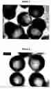 Fig. 04 - Method for preparing microcapsule by miniemulsion polymerization