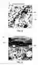 Fig. 04 - Polystyrene blends and a method of making same