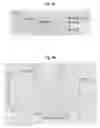 Fig. 05 - Method for the production of amyloid-beta peptide using ubiquitin