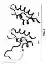Fig. 04 - Crystallization of IGF-1
