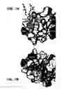 Fig. 08 - Crystallization of IGF-1
