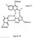 Fig. 03 - Halogenated aminoquinolines and oligonucleotides containing the same