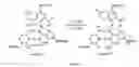 Fig. 07 - Halogenated aminoquinolines and oligonucleotides containing the same