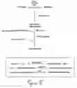 Fig. 06 - Xylose isomerases, nucleic acids encoding them and methods for making and using them