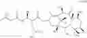 Fig. 91 - Processes for the preparation of paclitaxel