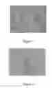 Fig. 02 - Method of making a diL-lysine monosulfate trihydrate crystal